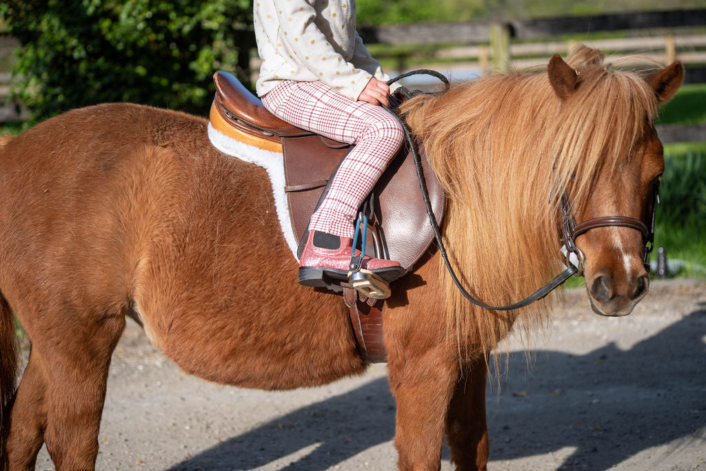 Sparkly Riding Boots